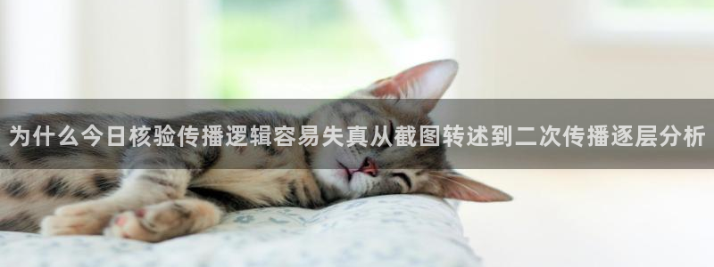黑料