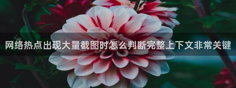 黑料曝光后续进展