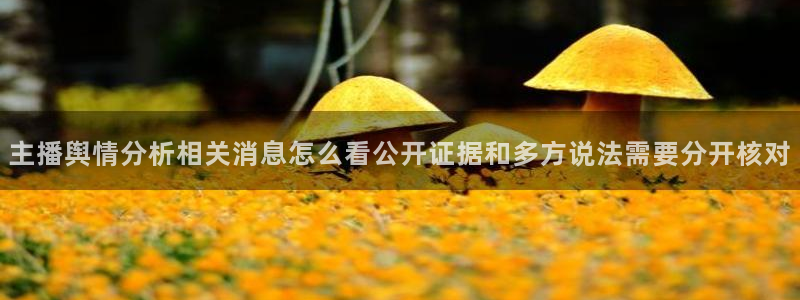 职场黑料后续进展