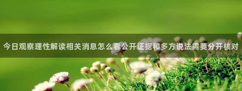 黑料揭秘证据梳理