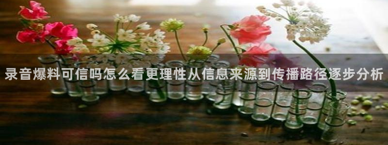 网红黑料后续进展