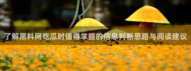 网红黑料今日更新